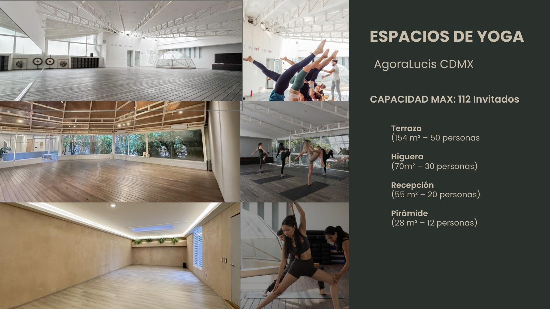 Marketing Holistico Branding Espacio de Yoga - Agoralucis