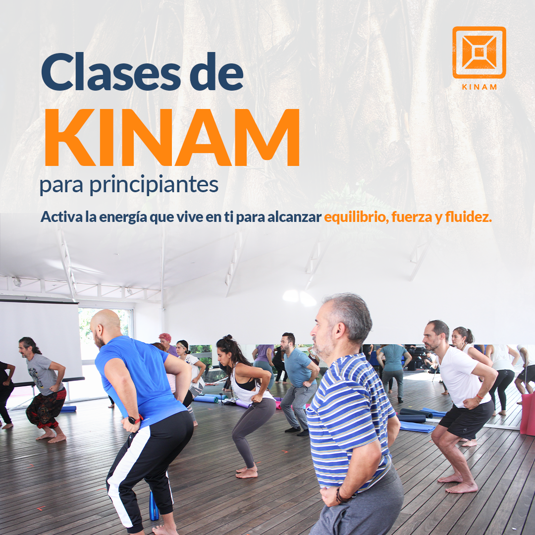 Marketing Holistico Branding KINAM - Agoralucis Posturas Branding