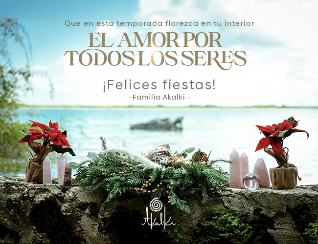 Marketing Holistico be2be Cliente Akalki 2024 Campaña: Water-Conference-2025 Diseño: be2be Feliz Navidad Español